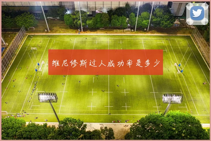 维尼修斯过人成功率是多少