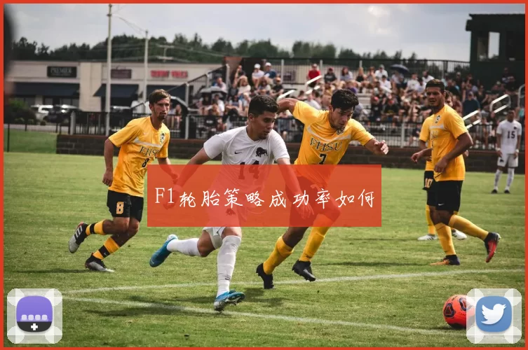 F1轮胎策略成功率如何